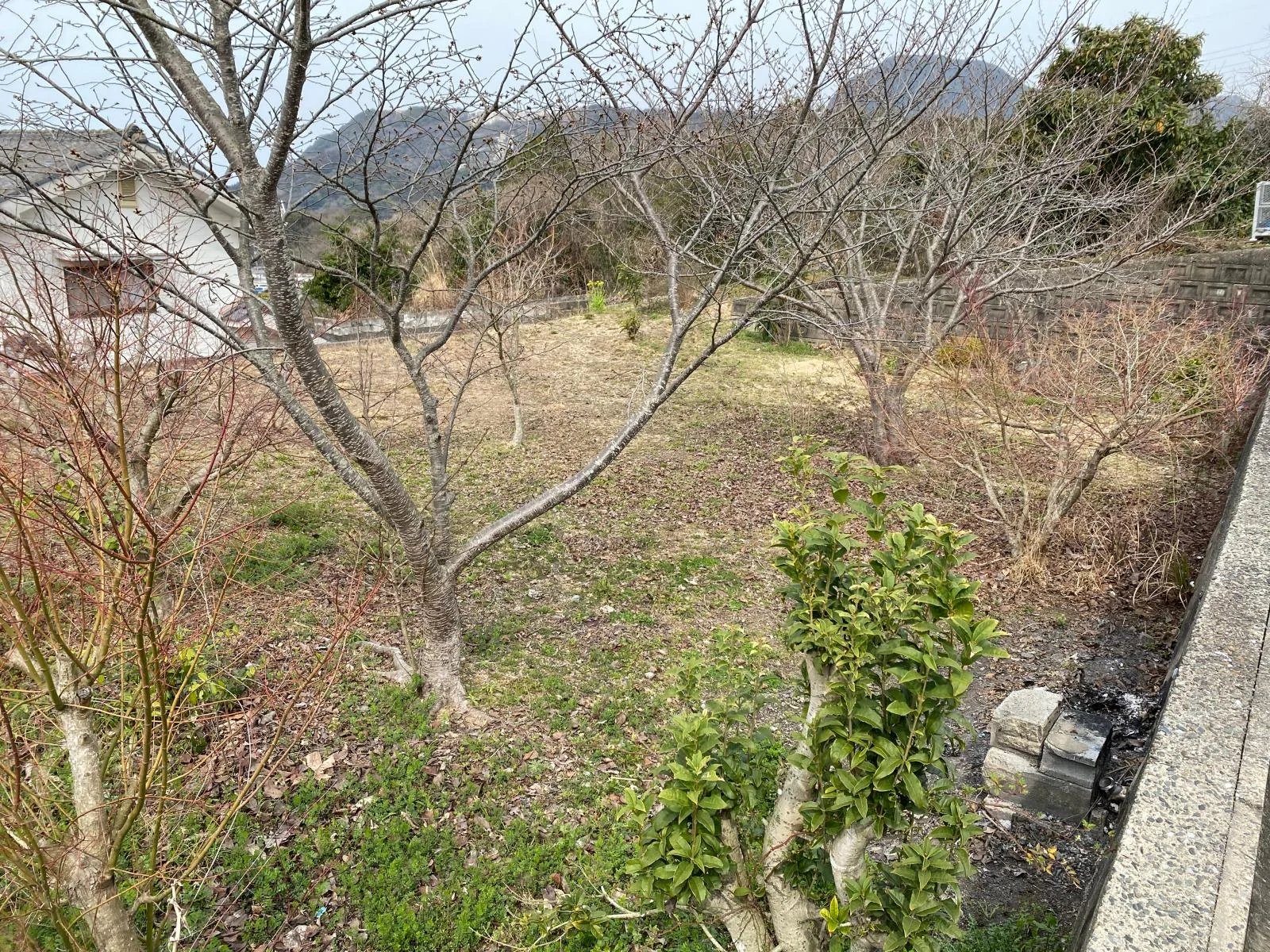 View 2
