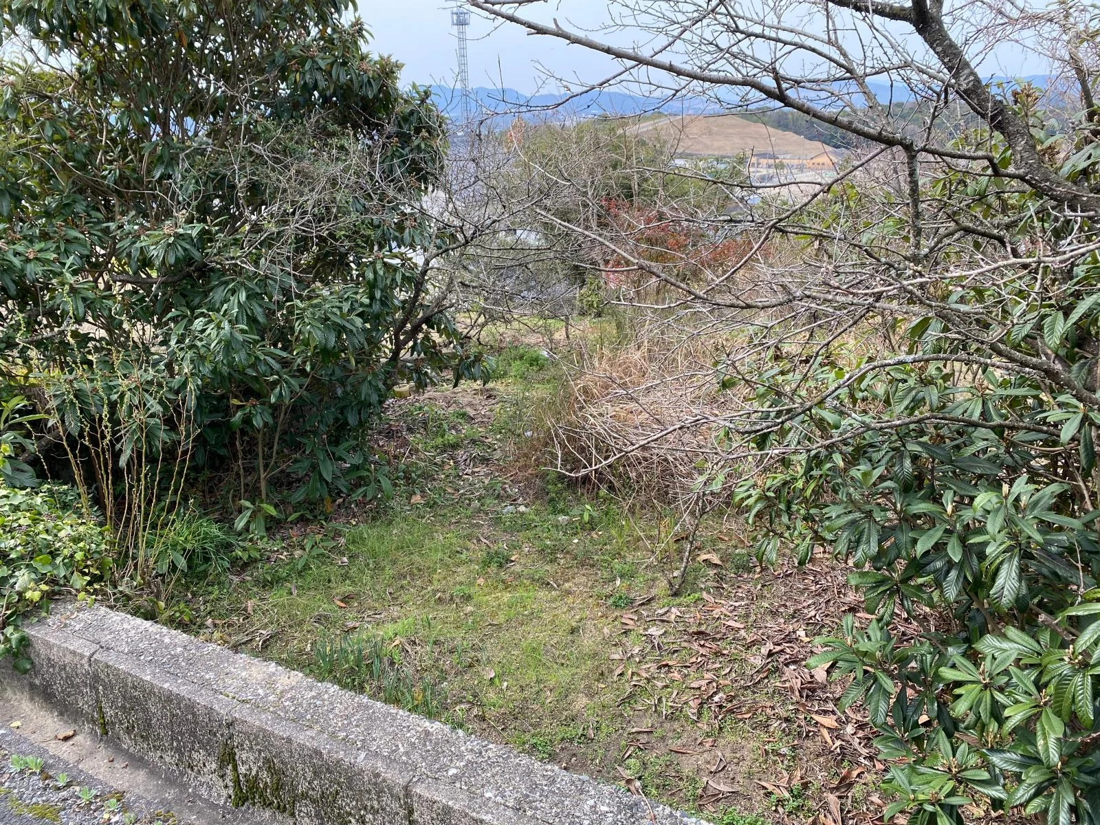 View 7