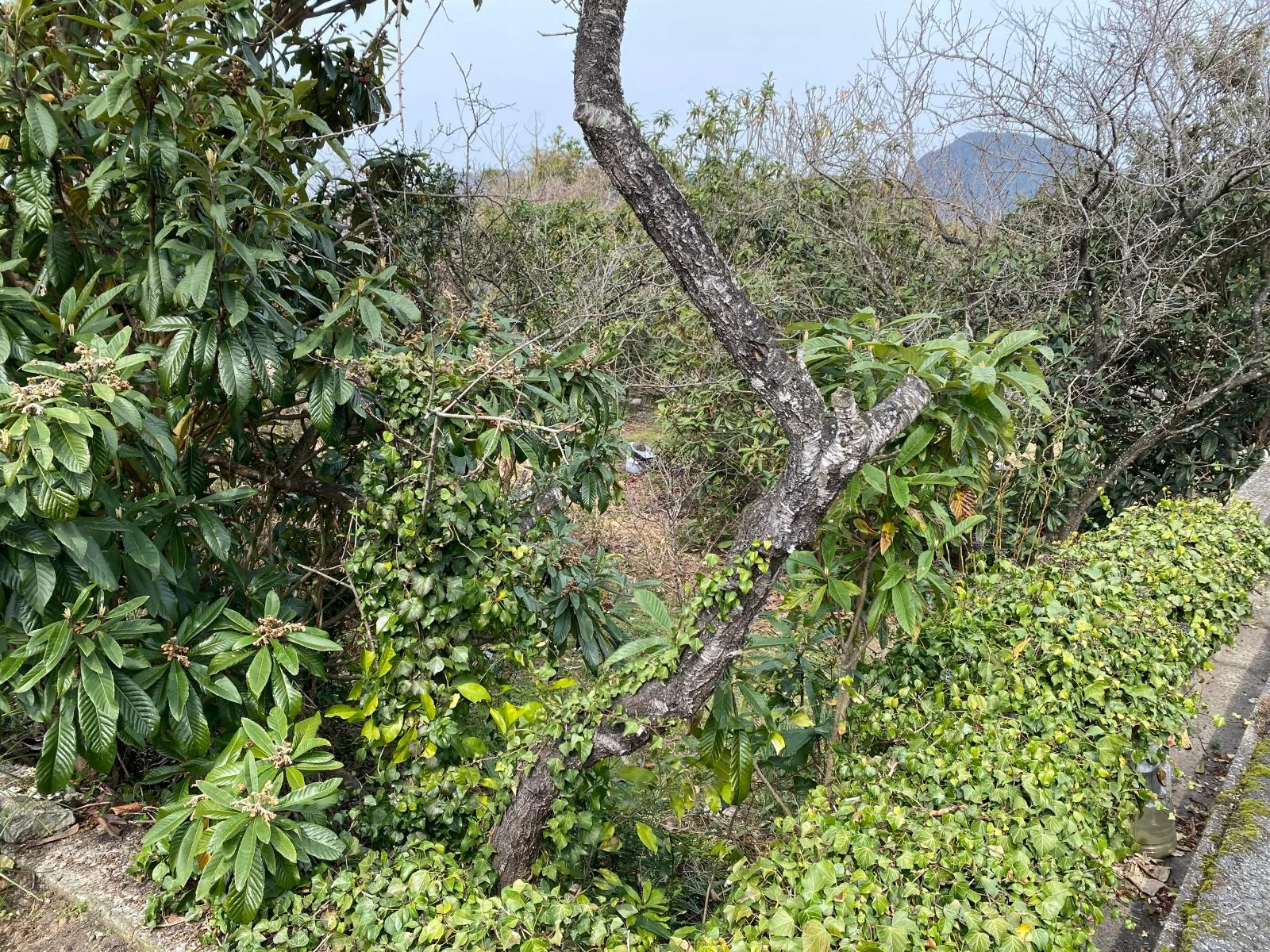 View 8