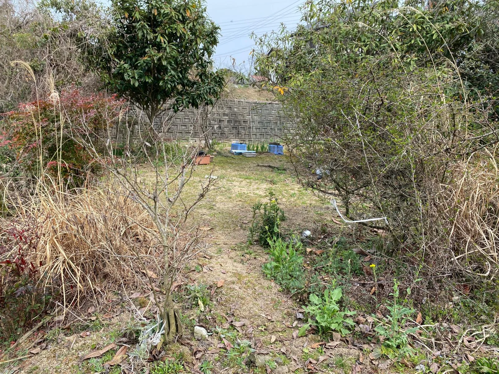 View 9