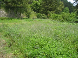 View 2