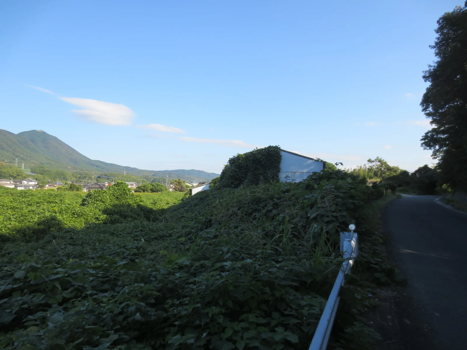 View 10