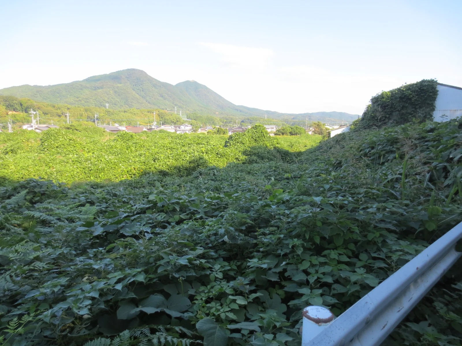 View 9