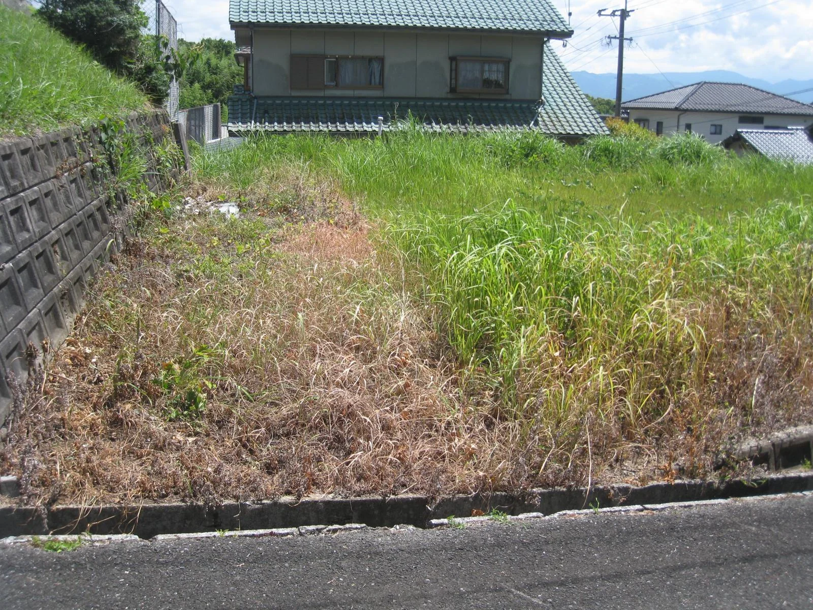 View 3