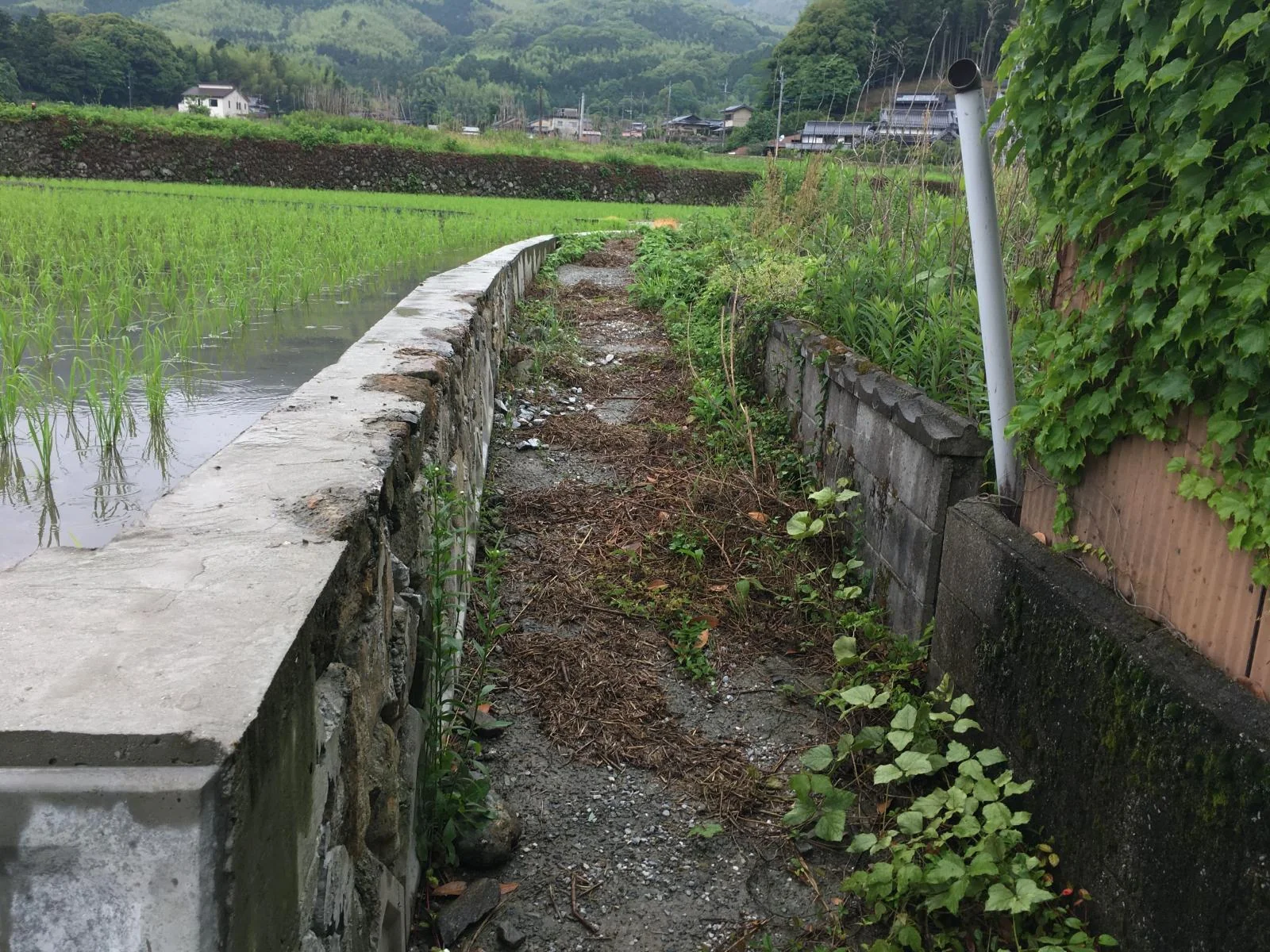 View 3