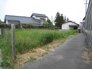View 2