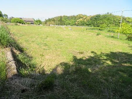 View 2