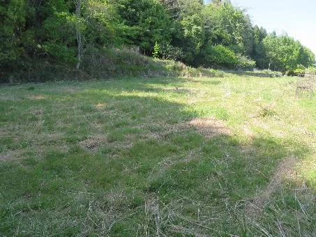 View 3