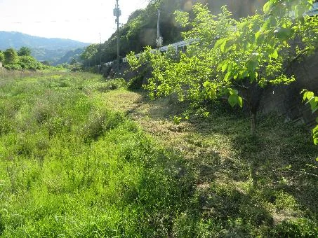 View 3