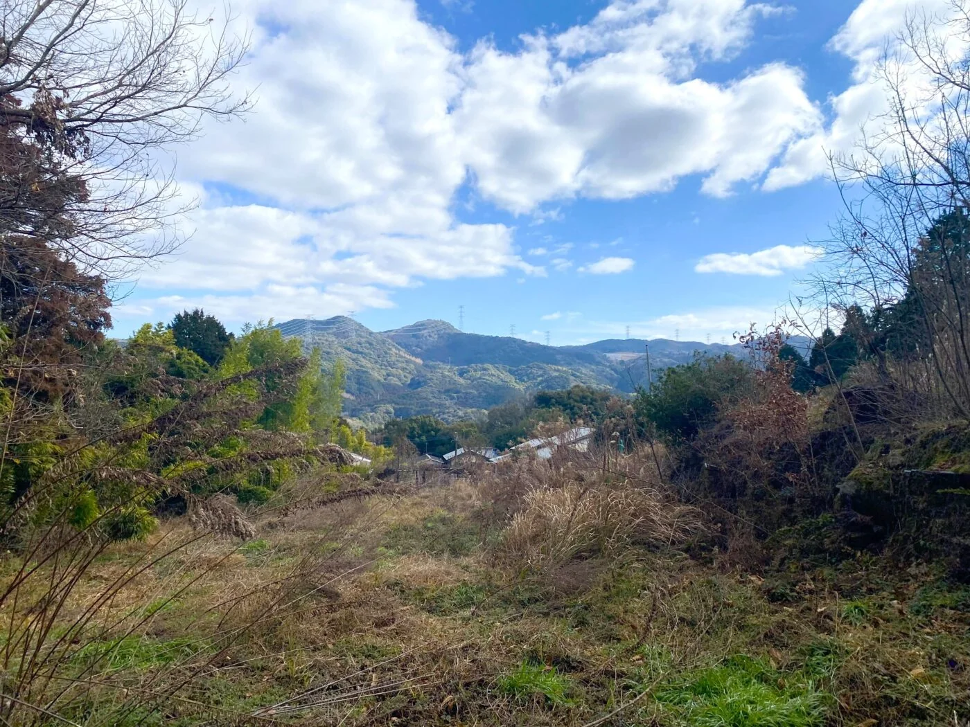View 2