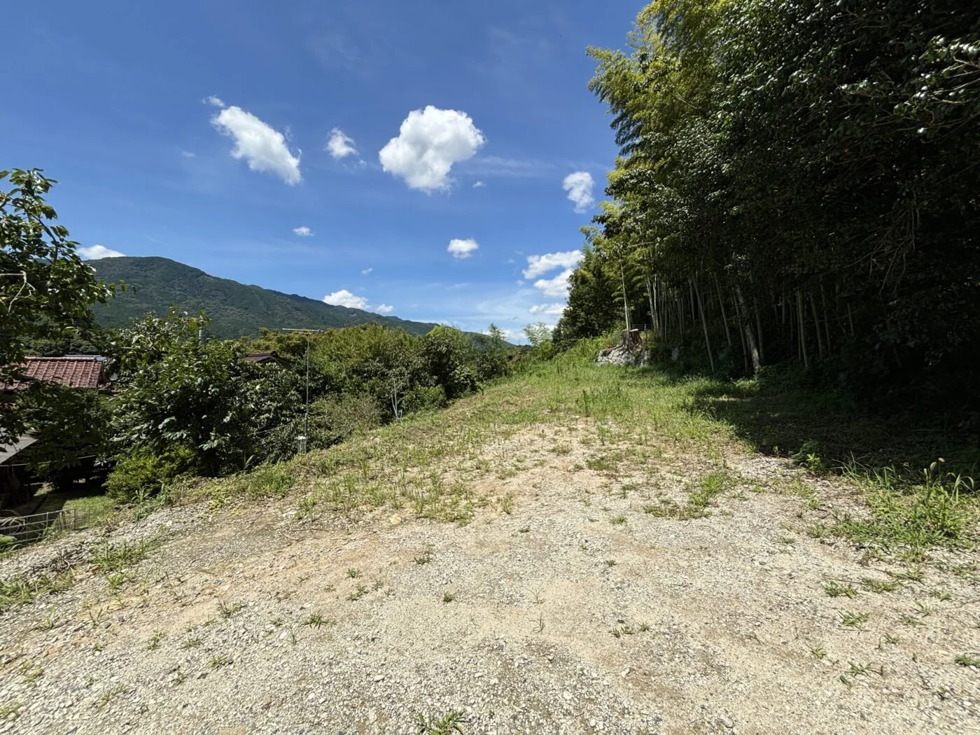 View 3