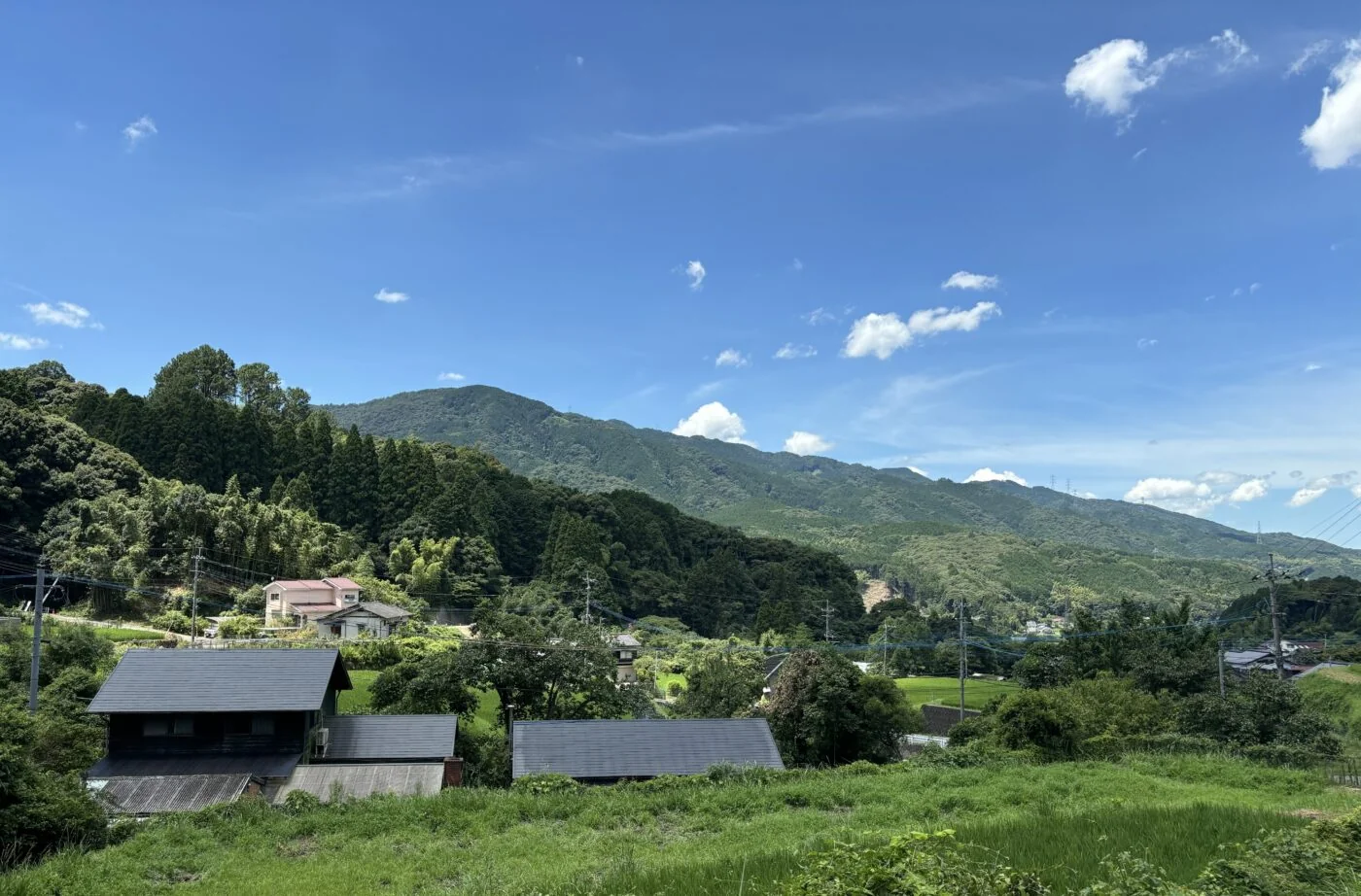 View 3
