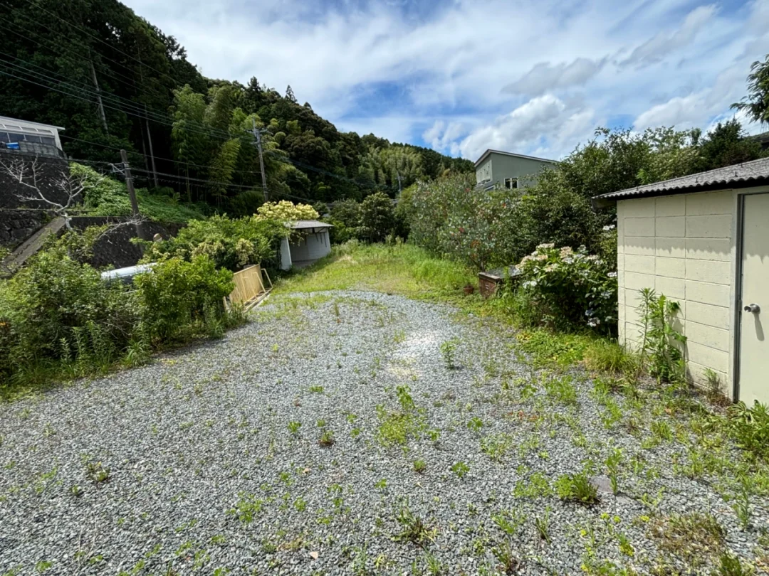 View 4