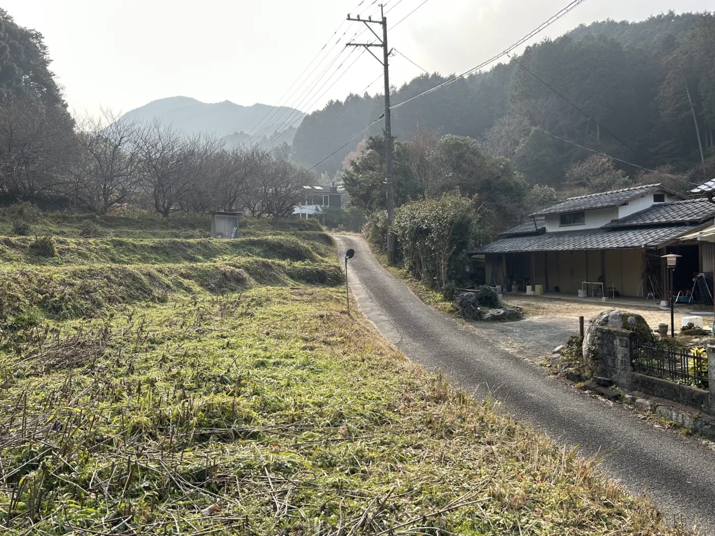 View 3