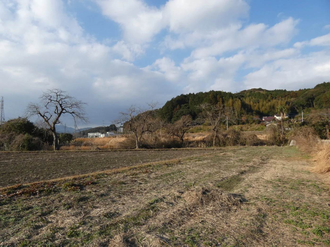 View 3