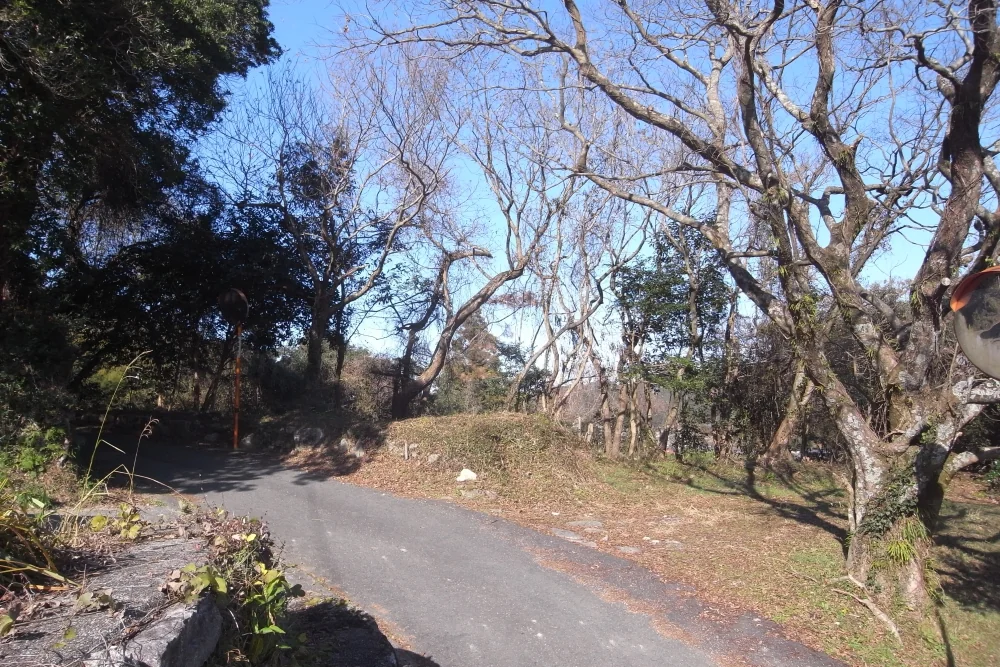 View 2