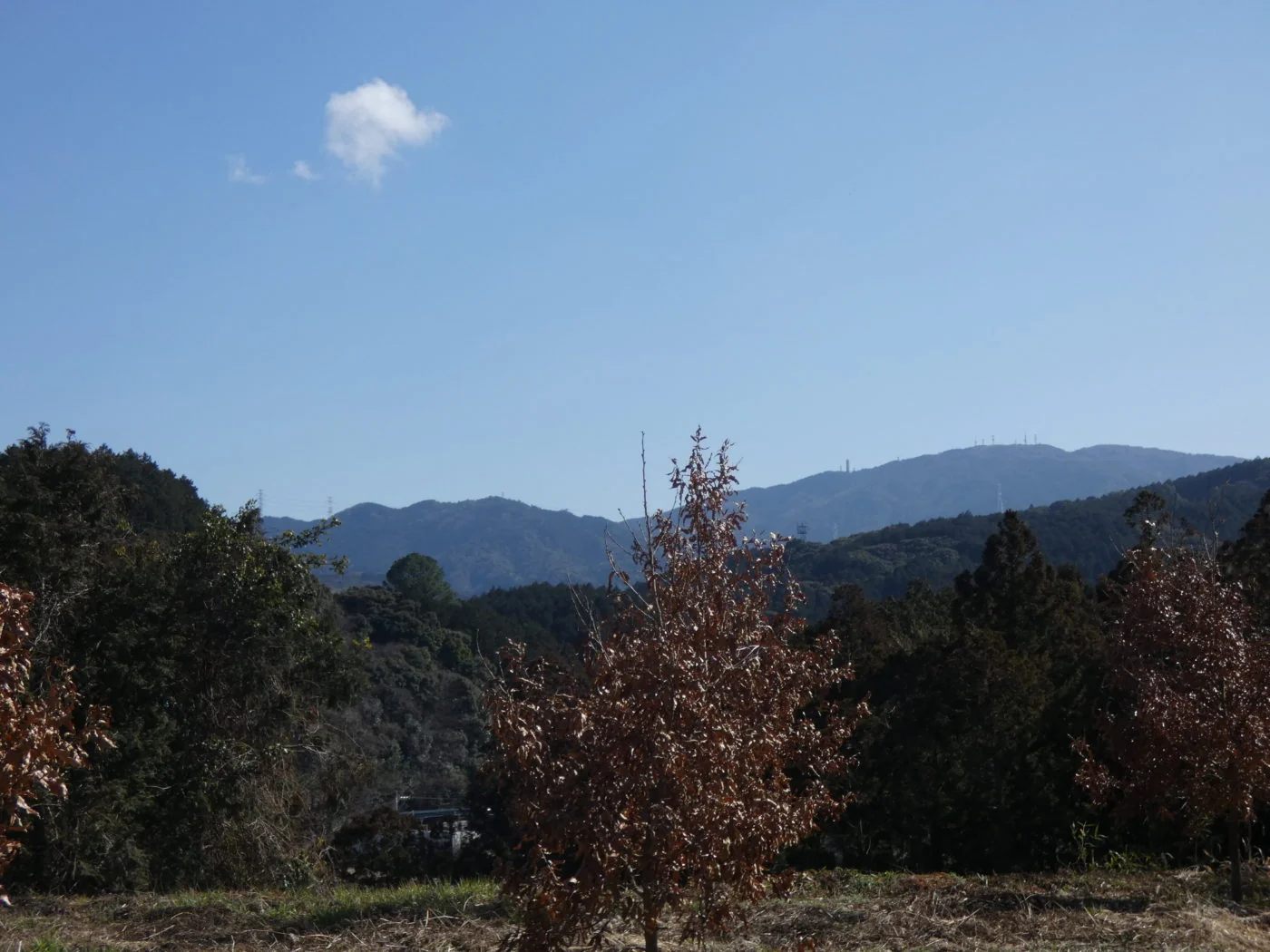 View 2