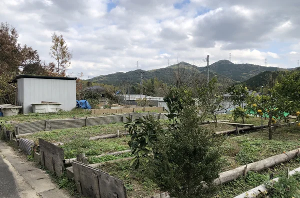 View 2