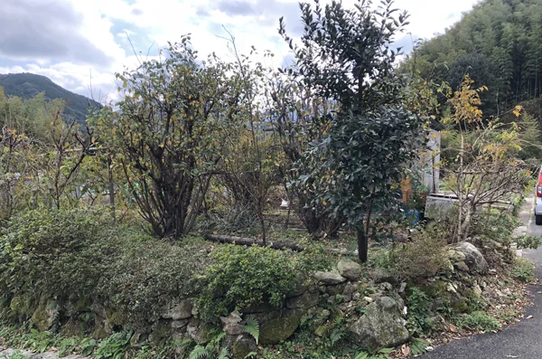 View 3