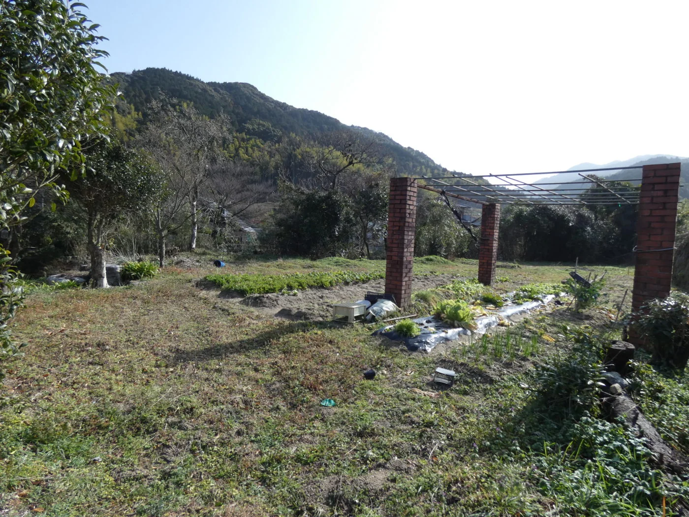 View 2