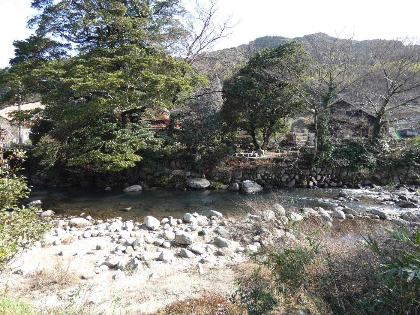 View 4