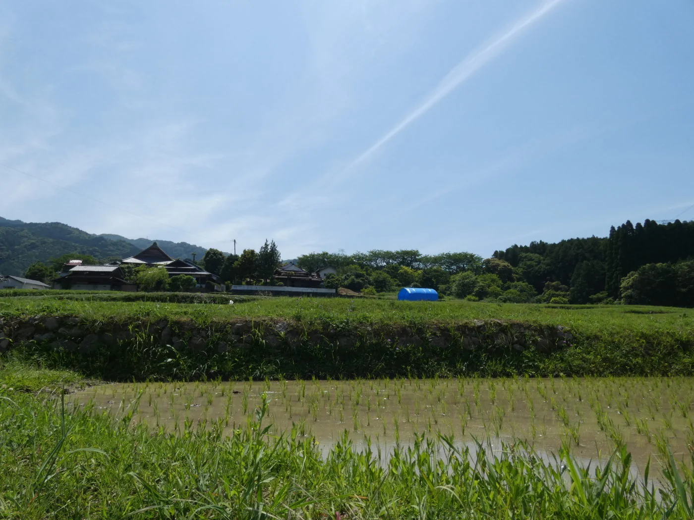 View 3
