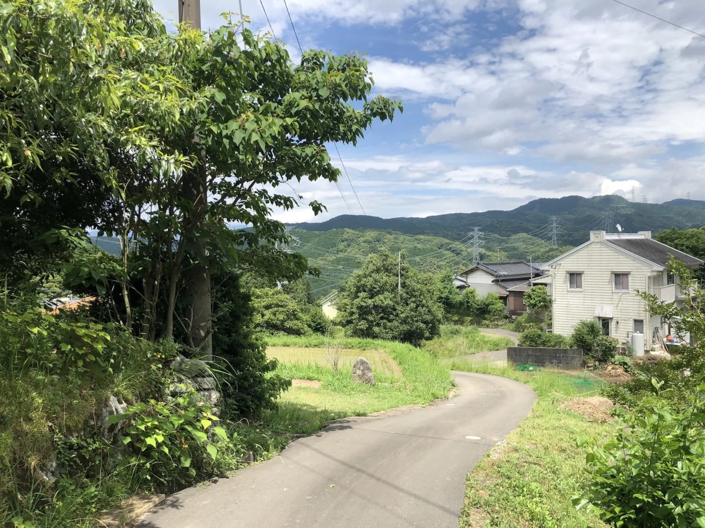 View 3