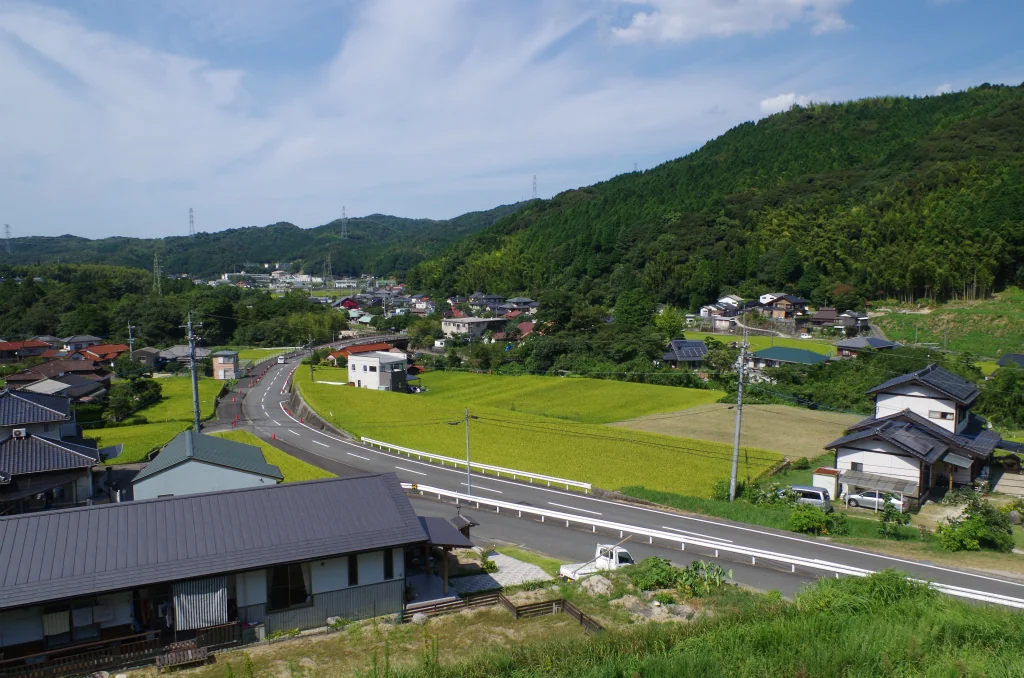 View 3