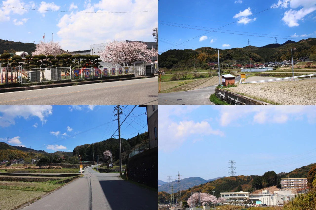 View 4