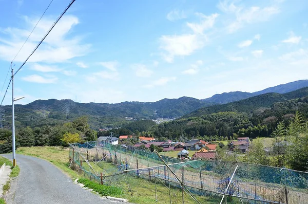 Property
