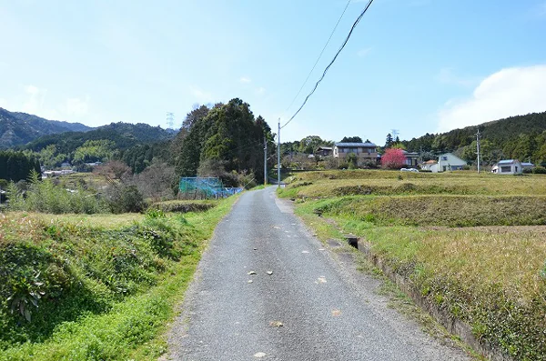 View 3