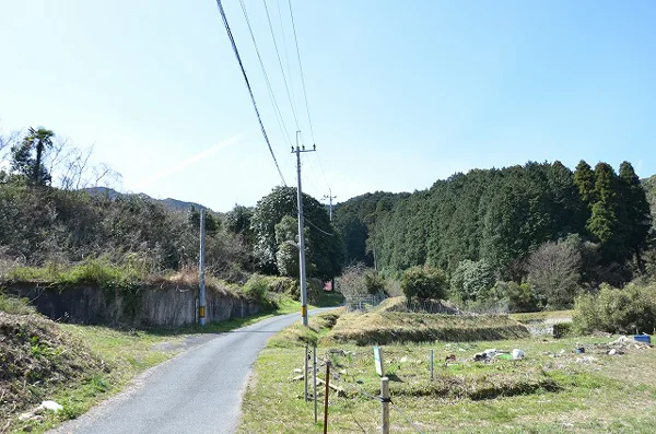 View 3