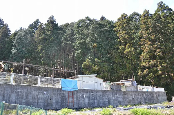 View 2