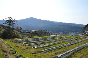 View 2