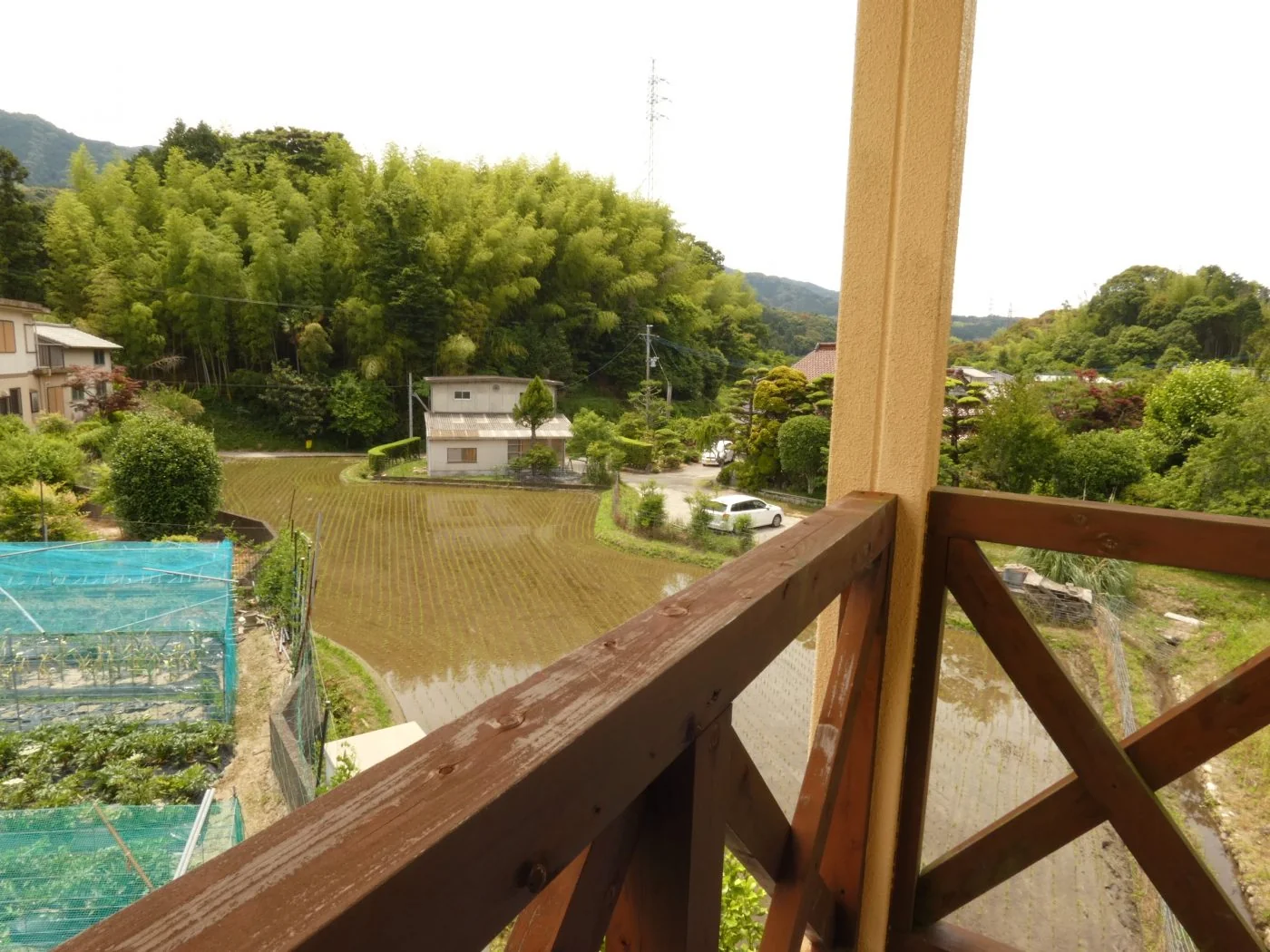 View 3