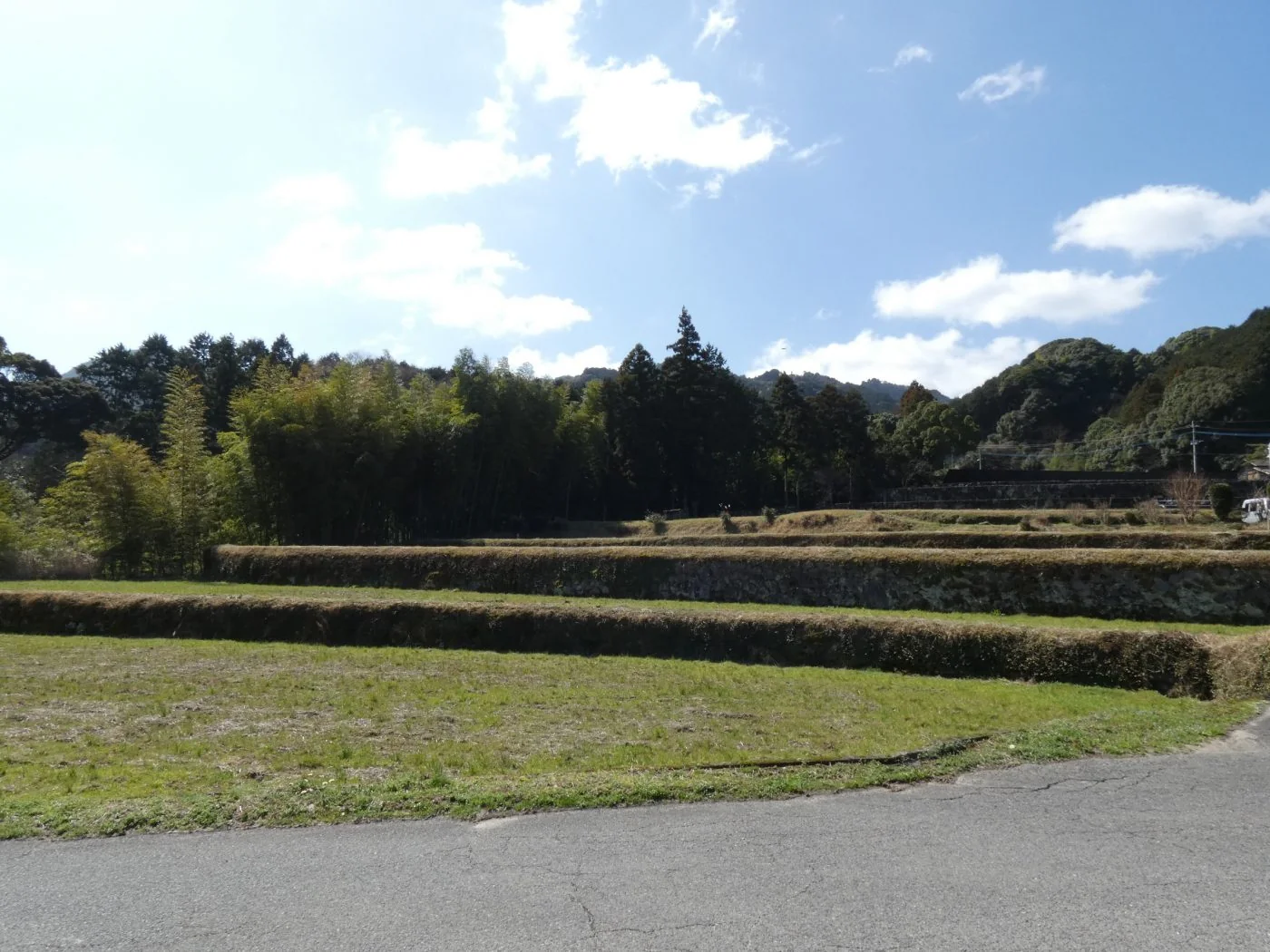 View 4