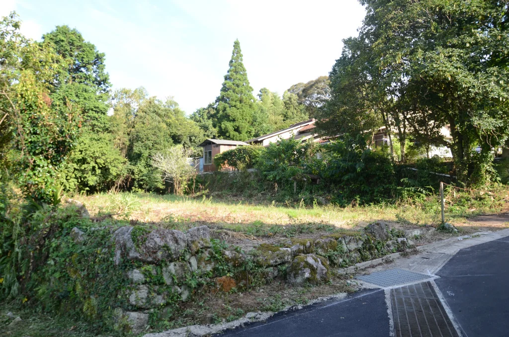 View 2