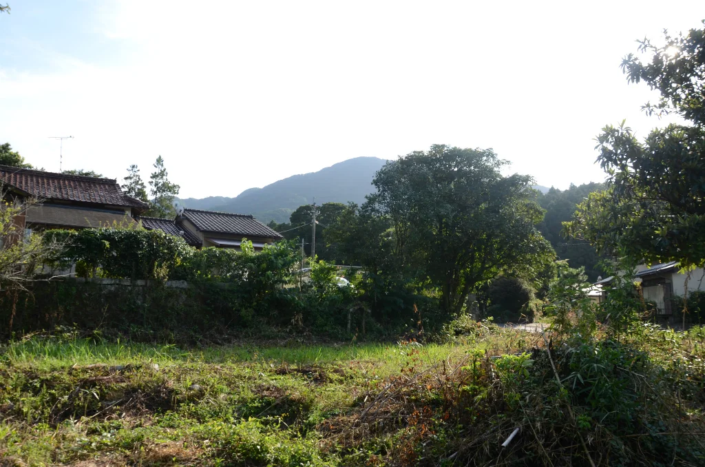 View 3