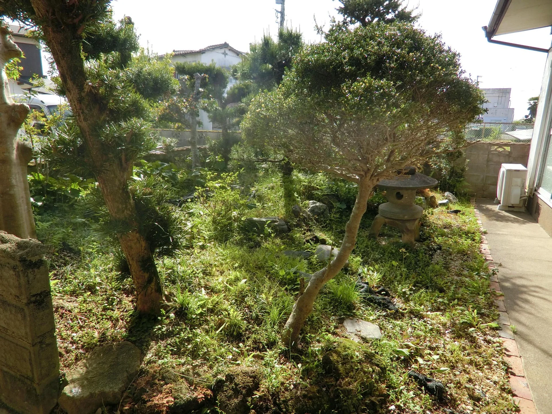 View 25