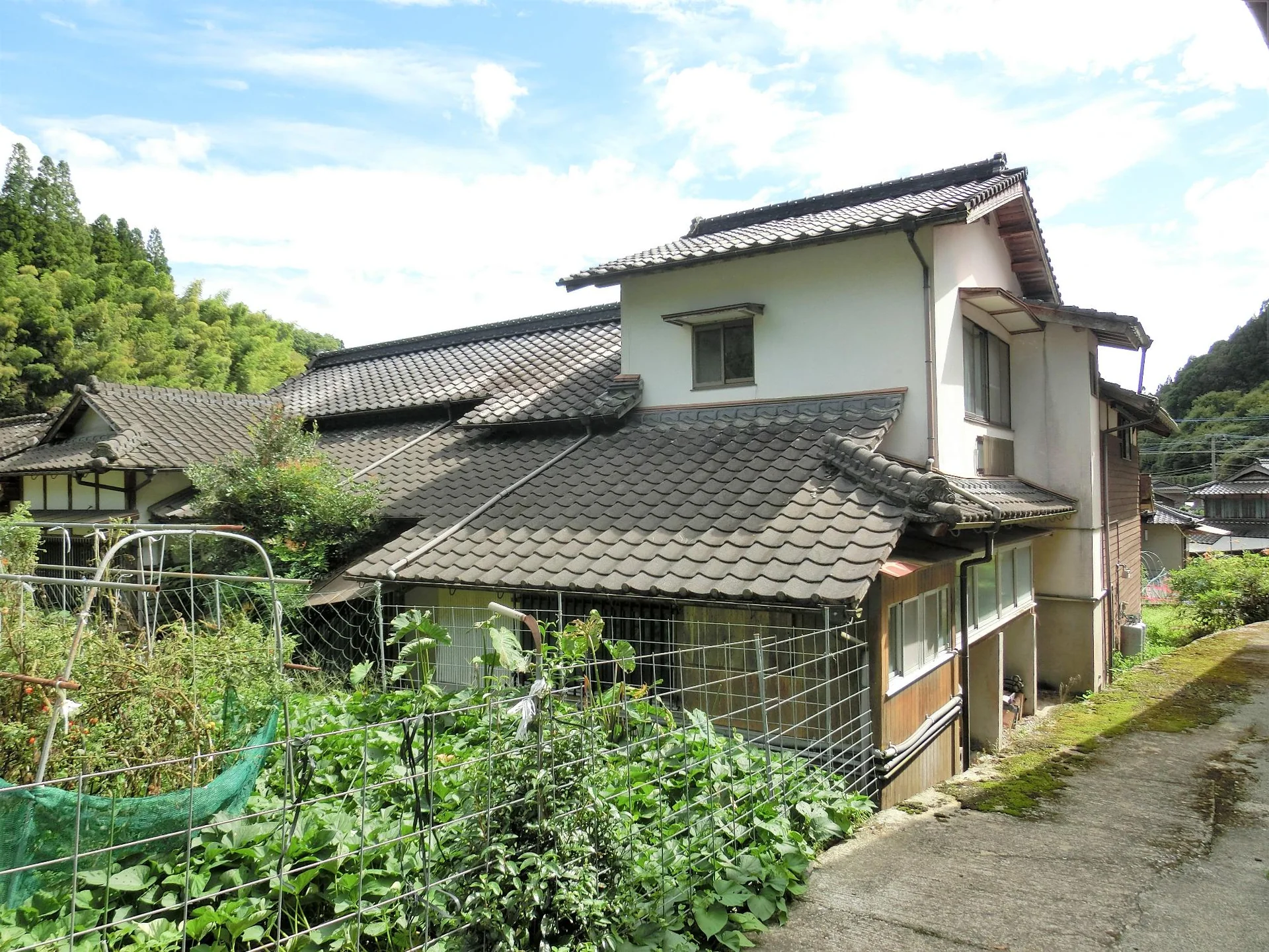 View 32