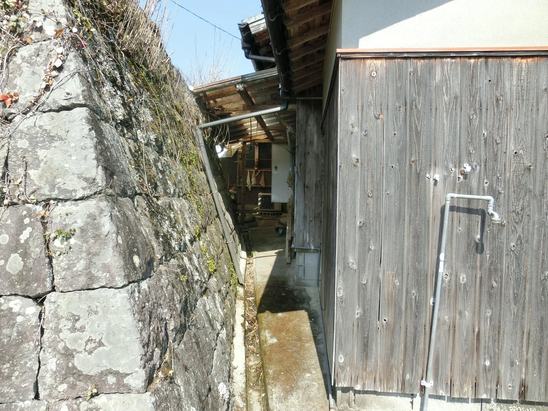 View 19