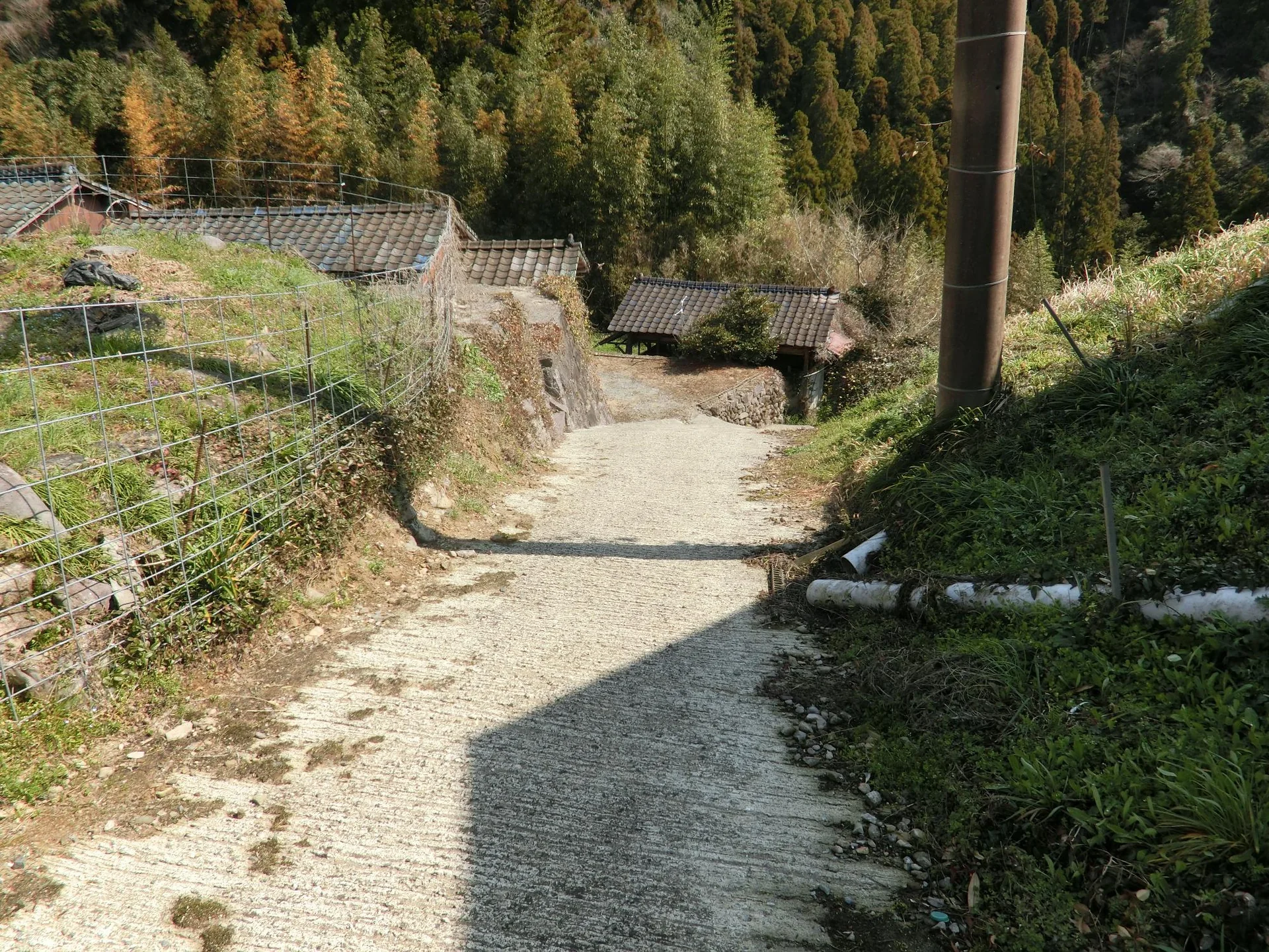View 20