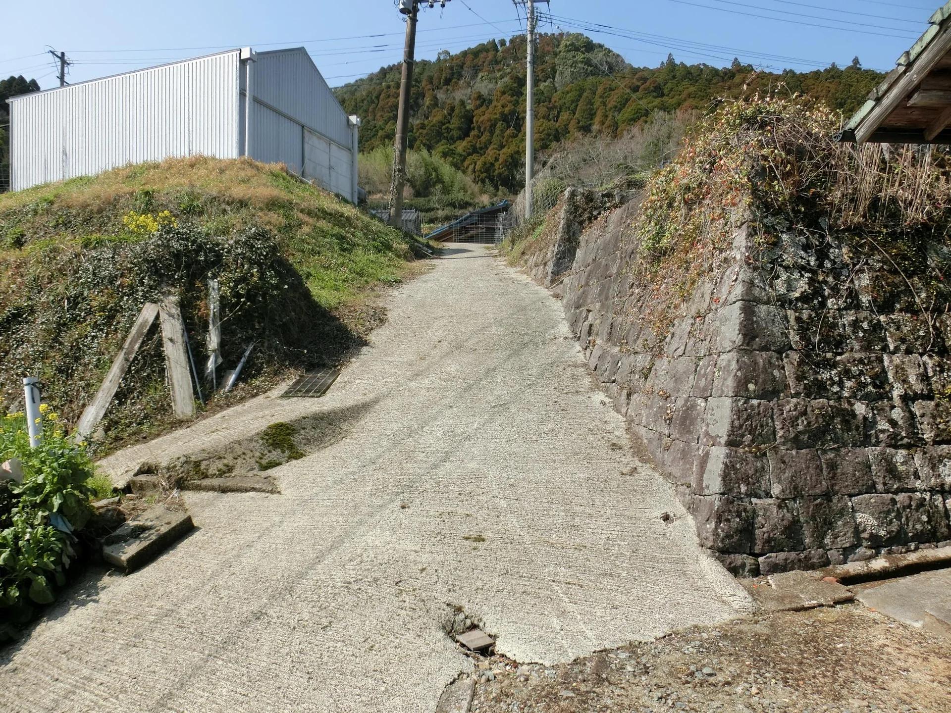 View 21