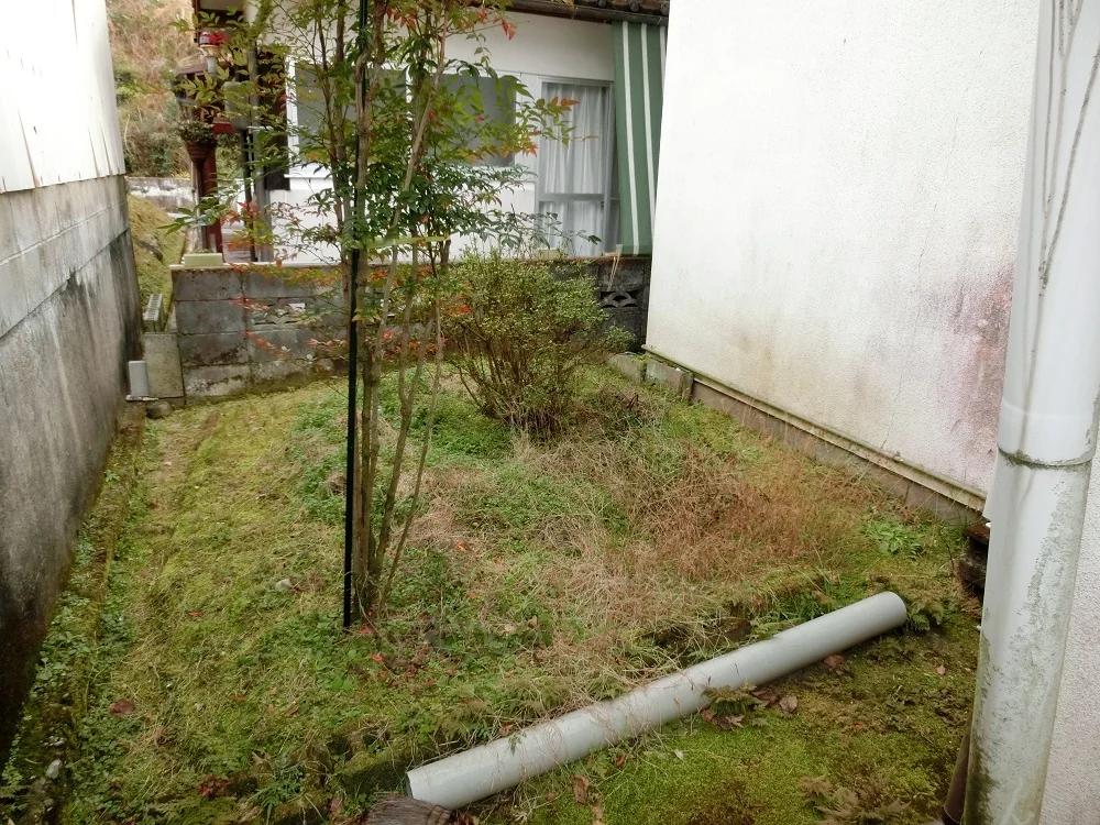 View 8