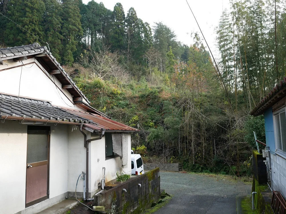 View 9