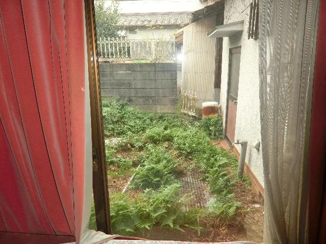 View 24