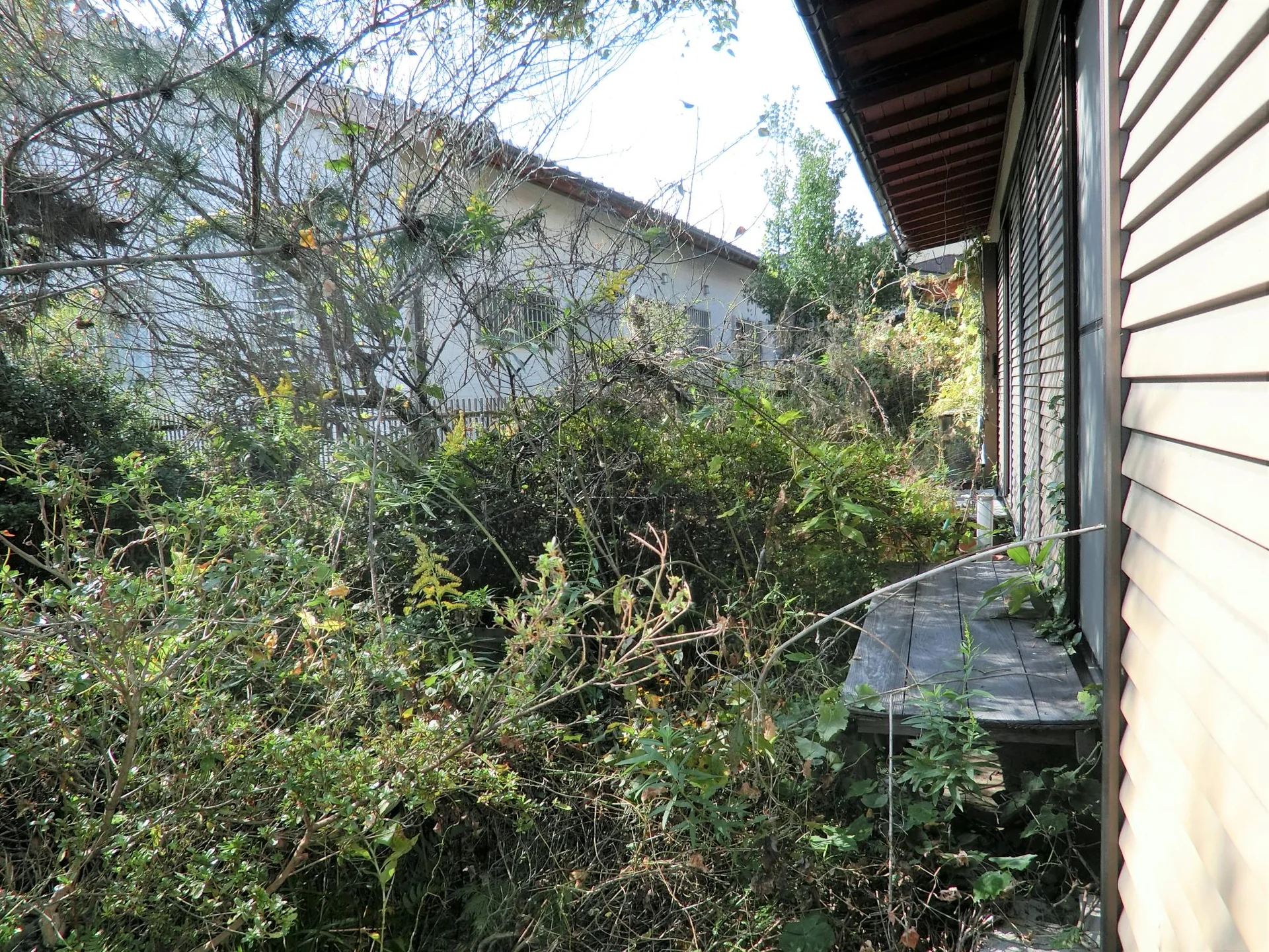 View 26