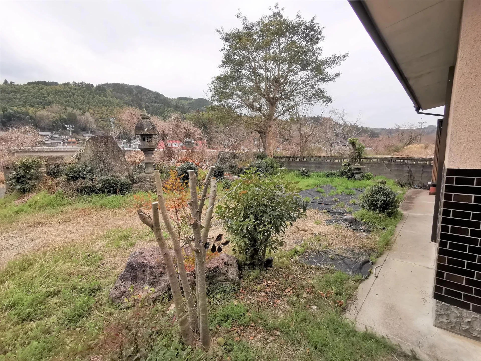 View 39