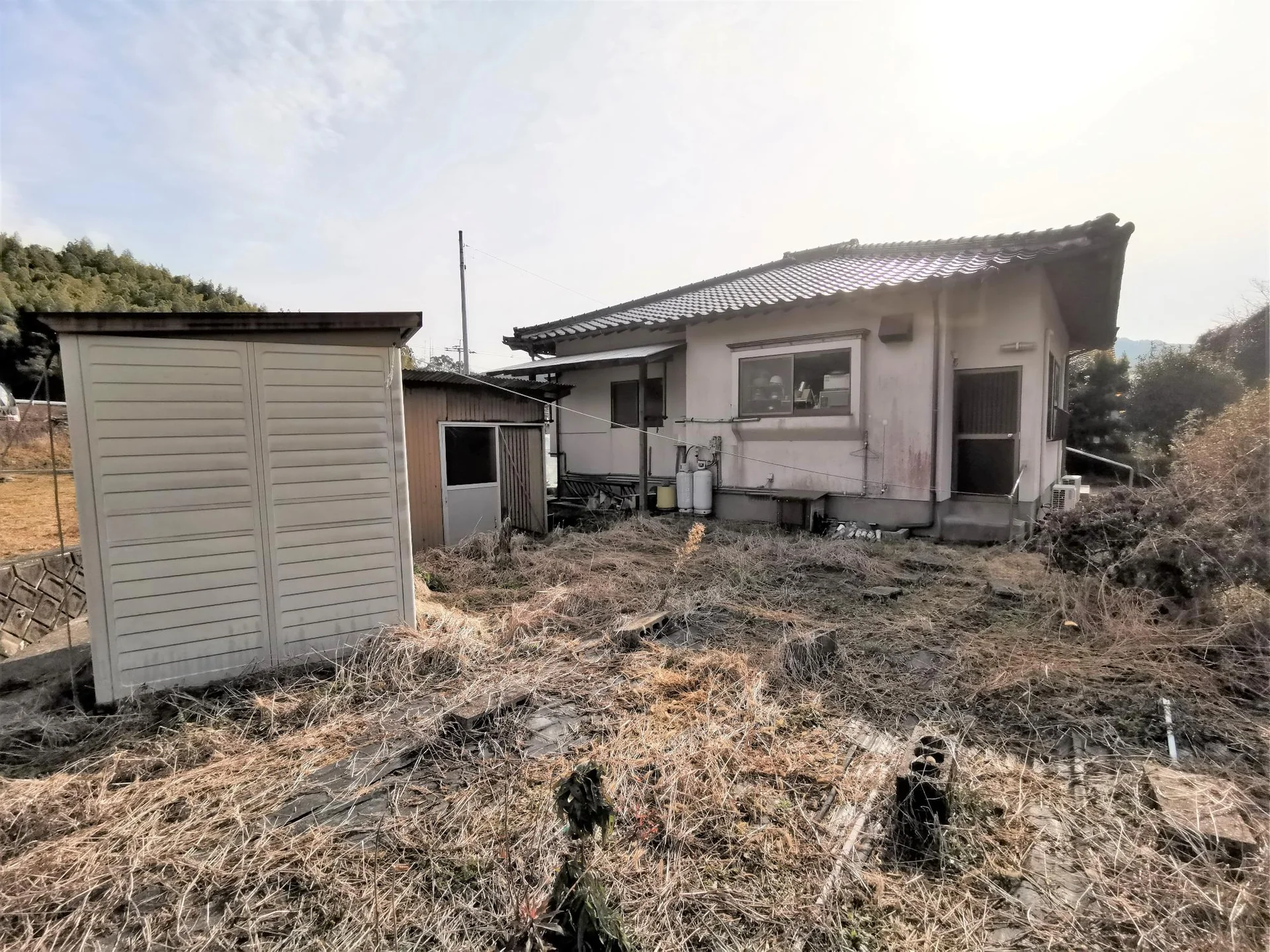 View 20