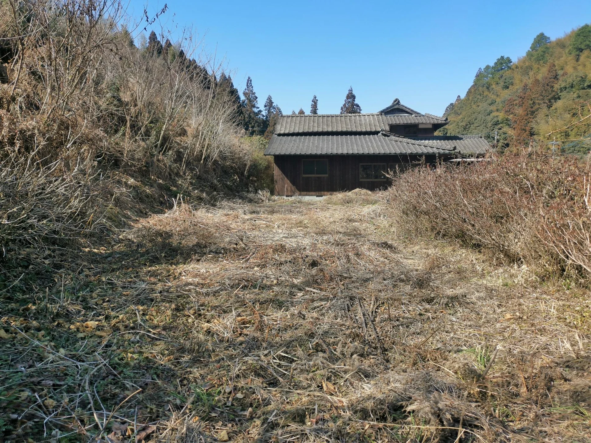 View 36